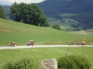 15_yspertaler_ot_130