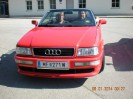 25_steinhaus_wels_ott_002