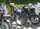 25_steinhaus_wels_ott_062