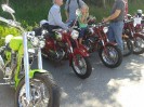 25_steinhaus_wels_ott_063