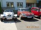 25_steinhaus_wels_ott_076