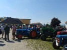25_steinhaus_wels_ott_092