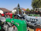 25_steinhaus_wels_ott_093