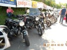 25_steinhaus_wels_ott_100