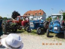 25_steinhaus_wels_ott_109