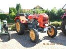 25_steinhaus_wels_ott_115