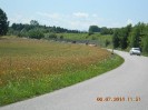 25_steinhaus_wels_ott_127