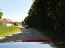 25_steinhaus_wels_ott_131