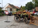40_hanftal_008