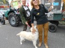 38_erntedankfest_leopoldau_016