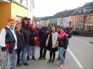 2_waldhausen_faschingsumzug_004