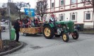 2_waldhausen_faschingsumzug_012
