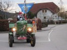2_waldhausen_faschingsumzug_025