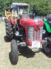 16_stranzendorf_tott_010