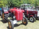16_stranzendorf_tott_017