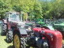 16_stranzendorf_tott_021