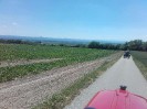 16_stranzendorf_tott_031
