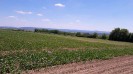 16_stranzendorf_tott_032
