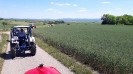 16_stranzendorf_tott_037