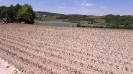 16_stranzendorf_tott_040