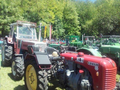 16_stranzendorf_tott_021