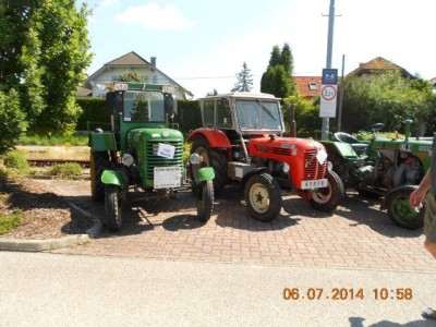 25_steinhaus_wels_ott_119