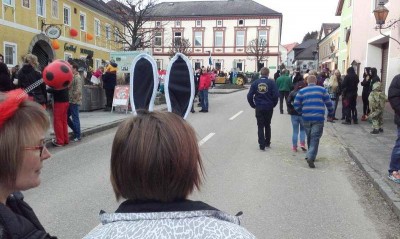 2_waldhausen_faschingsumzug_011