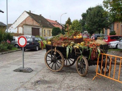 40_hanftal_008