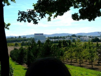 aschbach_181