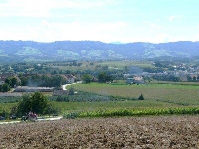aschbach_202