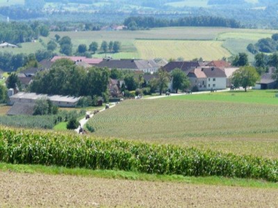 aschbach_214