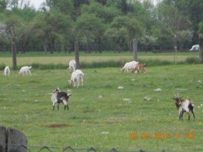 naarn_ot_48__12