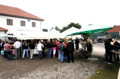 nadlingerhof_ot_stm_367