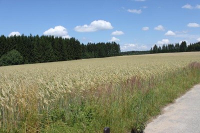puerbach_051