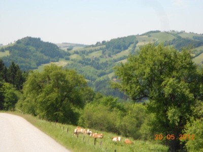 purgstall_ot_treffen_60