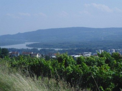 rehberg_029