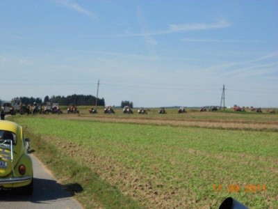 schoenfeld_180