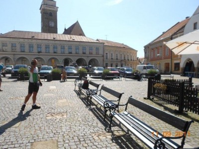 schoenfeld_200