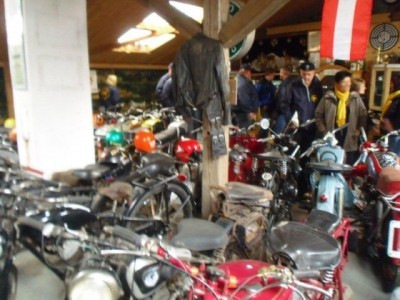 stangl_puch_bertll_111