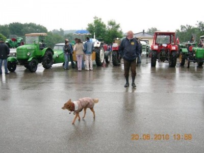 veterranus_weichstetten_83