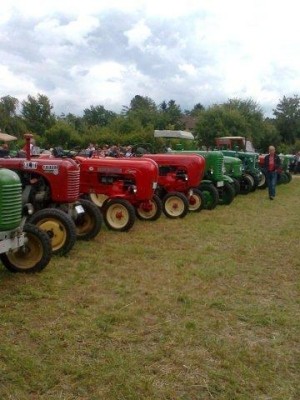 wuermla_033