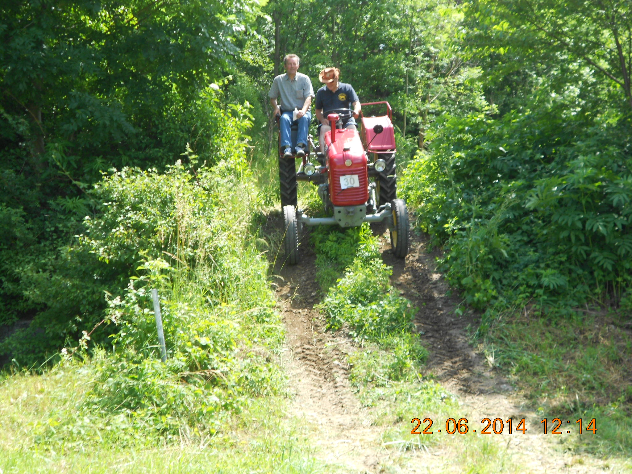 20. Alland FF Oldtimertreffen 22. Juni 2014 82